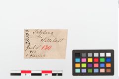Etiketten zu Glasringperle (NHMW-PRAE-024103)